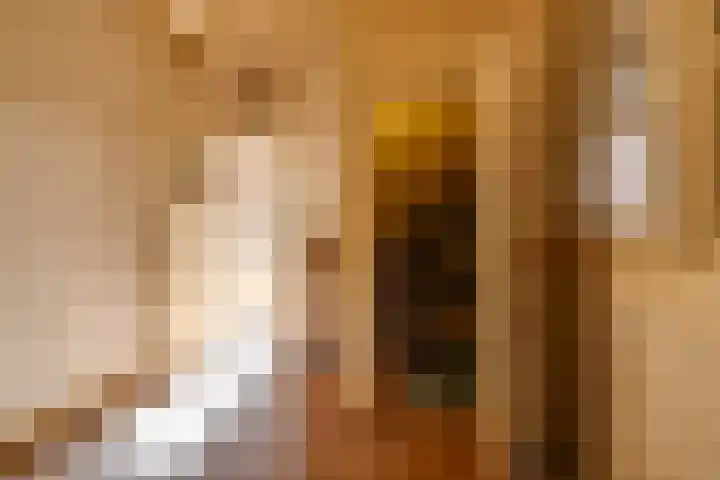 Oranje Nassaulaan 2 Blaricum thumbnail 21