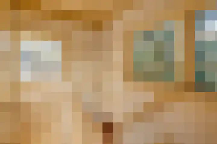 Oranje Nassaulaan 2 Blaricum thumbnail 24