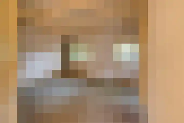 Oranje Nassaulaan 2 Blaricum thumbnail 27