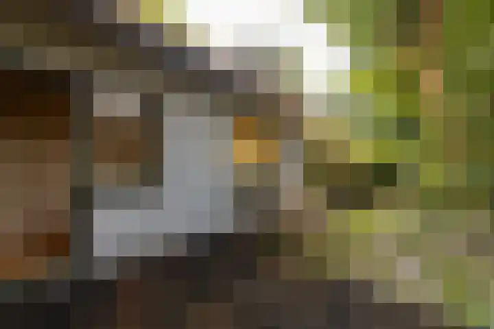 Oranje Nassaulaan 2 Blaricum thumbnail 29