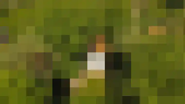 Oranje Nassaulaan 2 Blaricum foto 3
