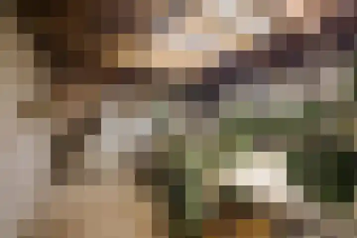 Oranje Nassaulaan 2 Blaricum thumbnail 32