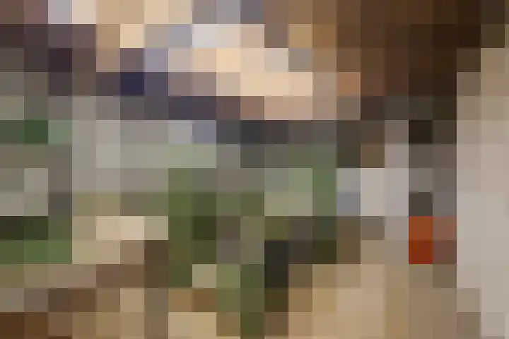 Oranje Nassaulaan 2 Blaricum thumbnail 33
