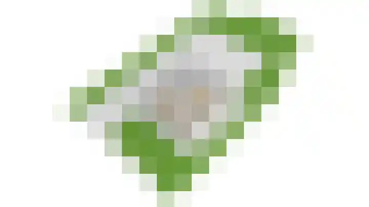 Oranje Nassaulaan 2 Blaricum thumbnail 36