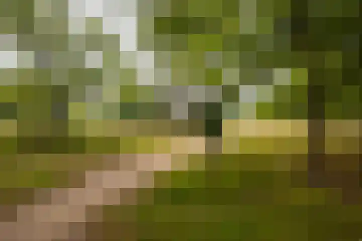 Oranje Nassaulaan 2 Blaricum thumbnail 4
