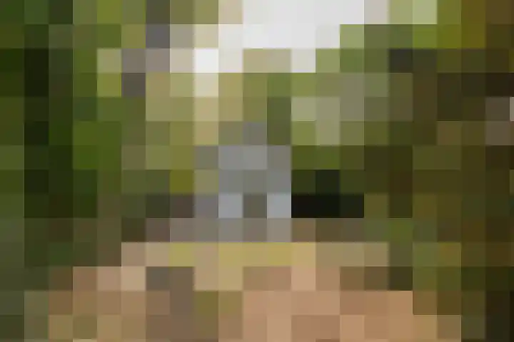 Oranje Nassaulaan 2 Blaricum thumbnail 5