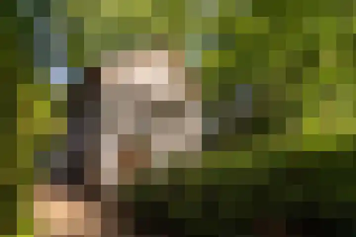 Oranje Nassaulaan 2 Blaricum thumbnail 50