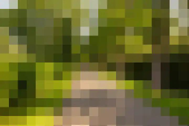Oranje Nassaulaan 2 Blaricum thumbnail 6