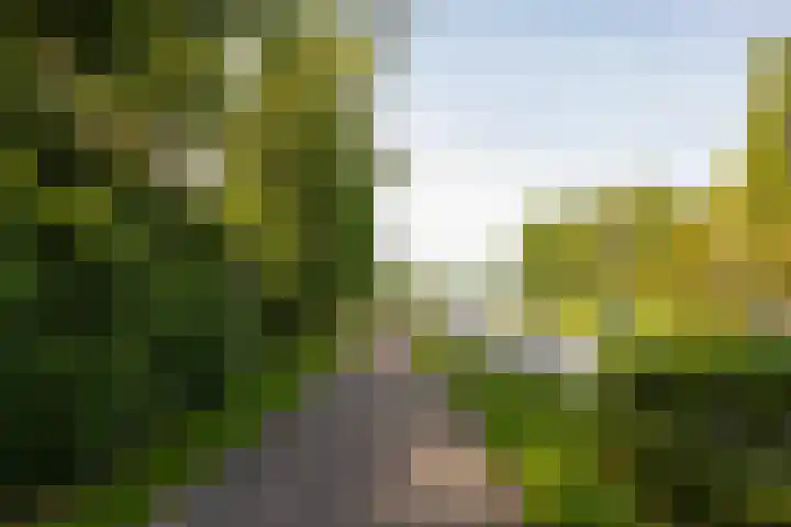 Oranje Nassaulaan 2 Blaricum thumbnail 7