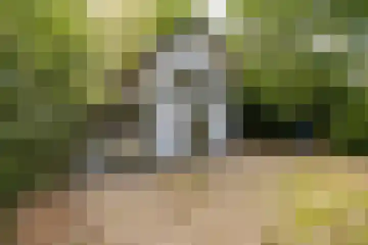 Oranje Nassaulaan 2 Blaricum thumbnail 9
