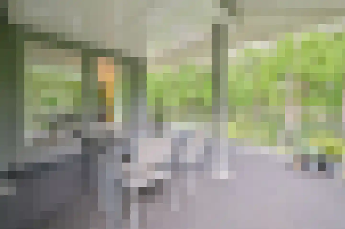 Oranje Nassaulaan 2 R Zeist thumbnail 18