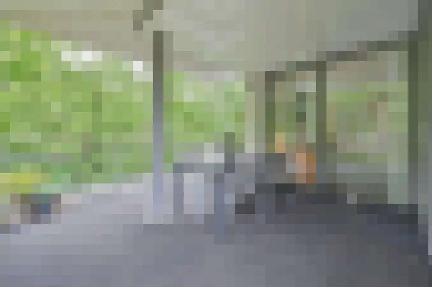 Oranje Nassaulaan 2 R Zeist thumbnail 20