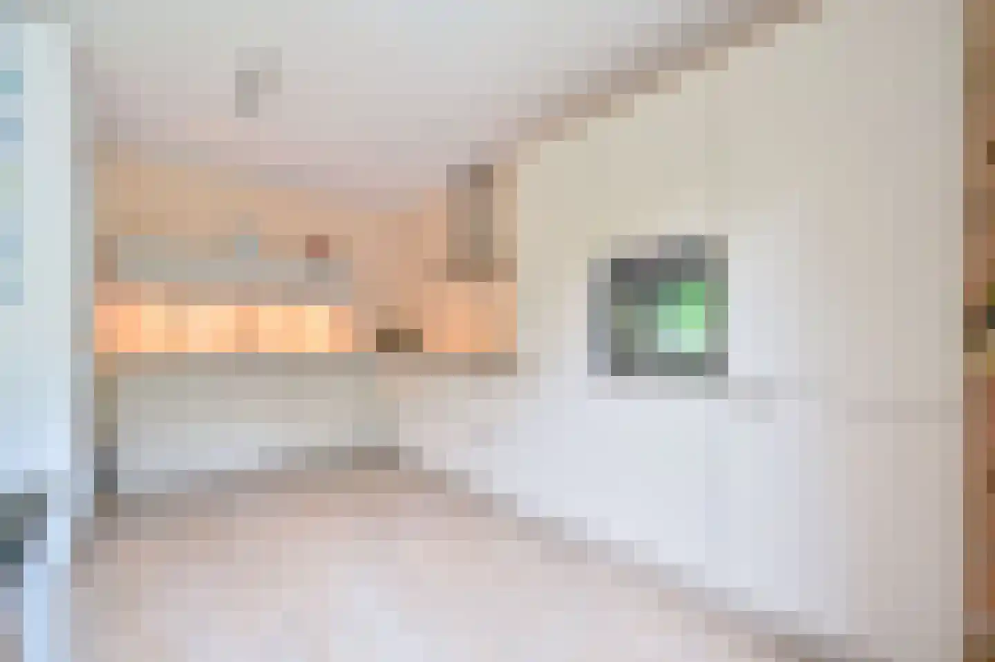 Oranje Nassaulaan 2 R Zeist thumbnail 7