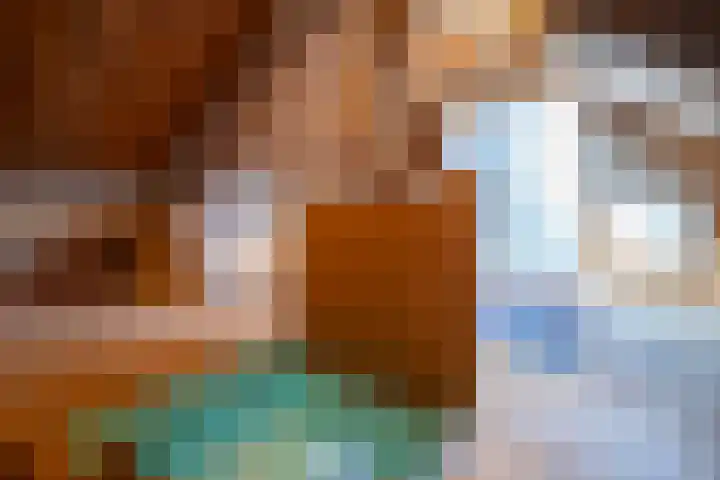 Oranje Nassaulaan 20 Leerdam thumbnail 23