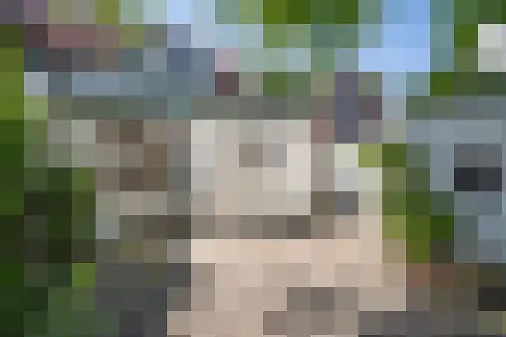 Oranje Nassaulaan 20 Leerdam thumbnail 4