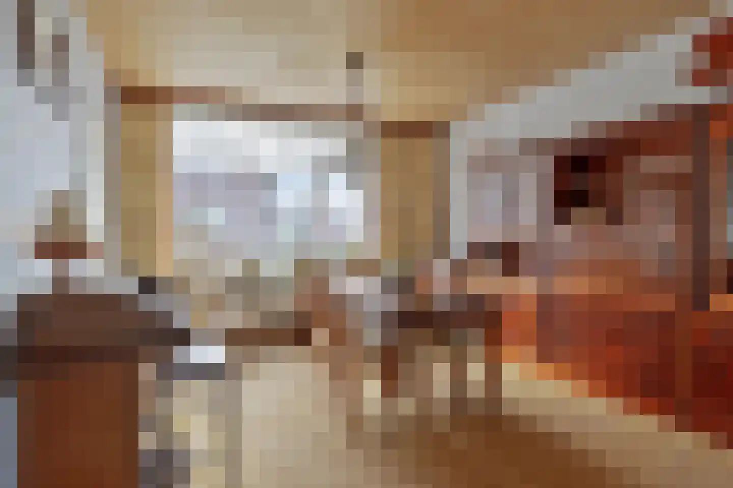 Oranje Nassaulaan 20 Vrouwenpolder thumbnail 11