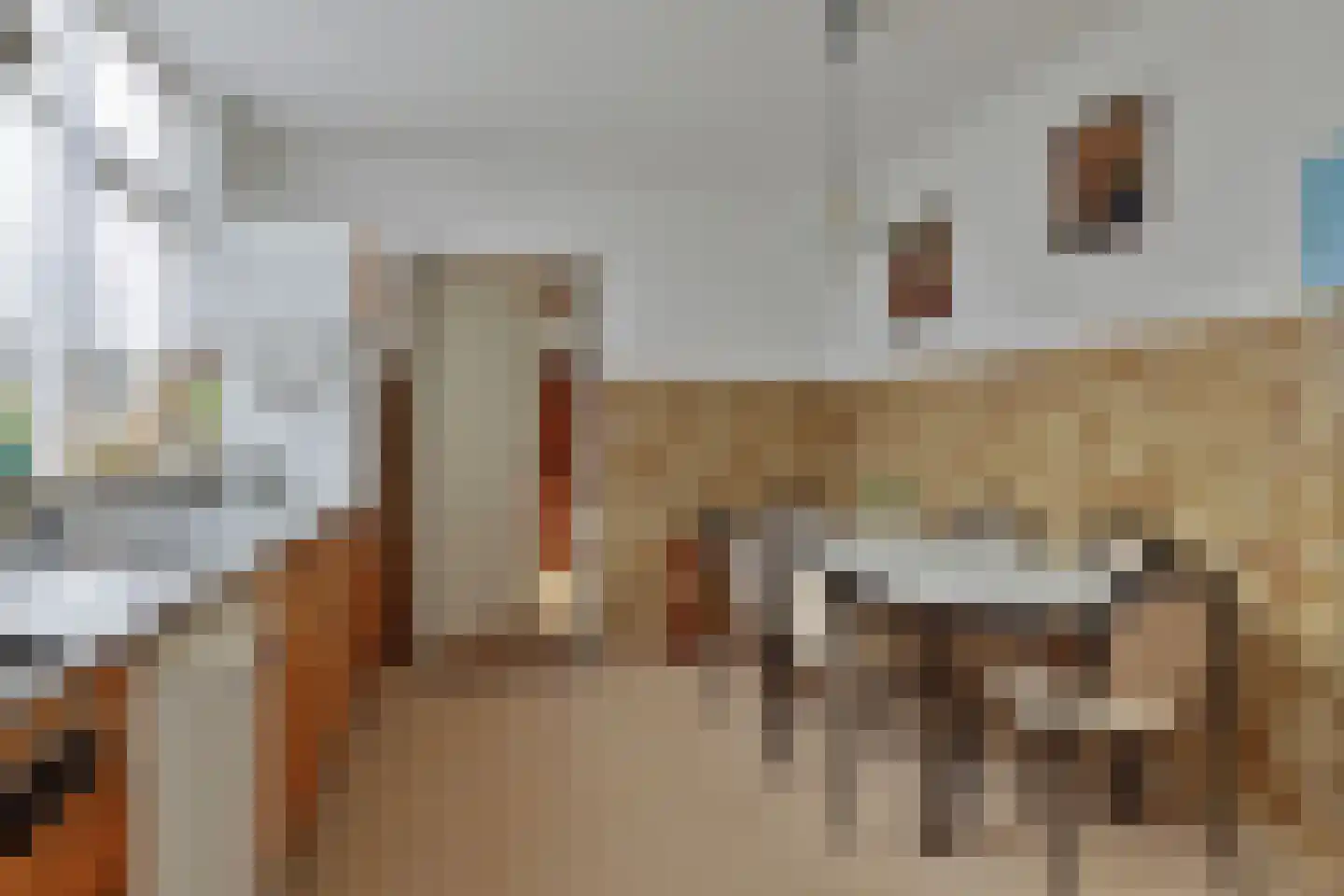 Oranje Nassaulaan 20 Vrouwenpolder thumbnail 15