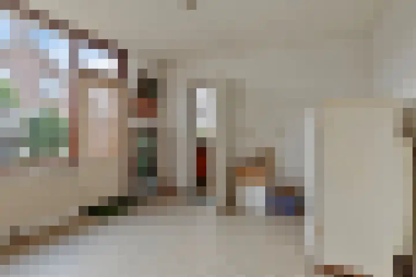 Oranje Nassaulaan 20 Vrouwenpolder thumbnail 17