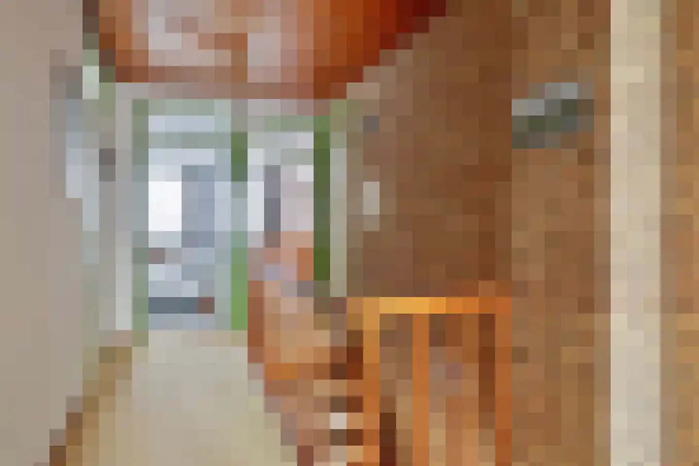 Oranje Nassaulaan 20 Vrouwenpolder thumbnail 21