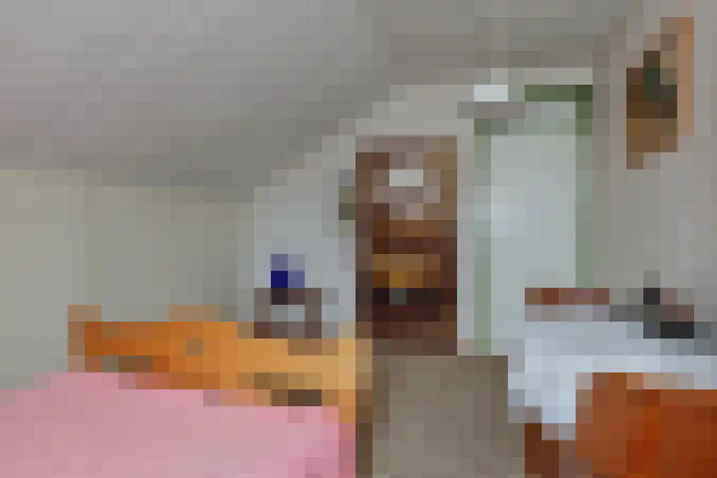 Oranje Nassaulaan 20 Vrouwenpolder thumbnail 25
