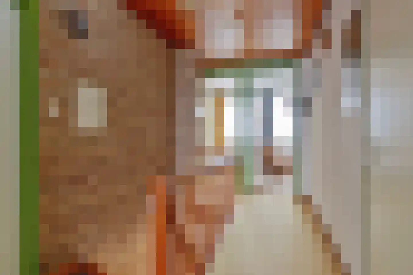 Oranje Nassaulaan 20 Vrouwenpolder thumbnail 26