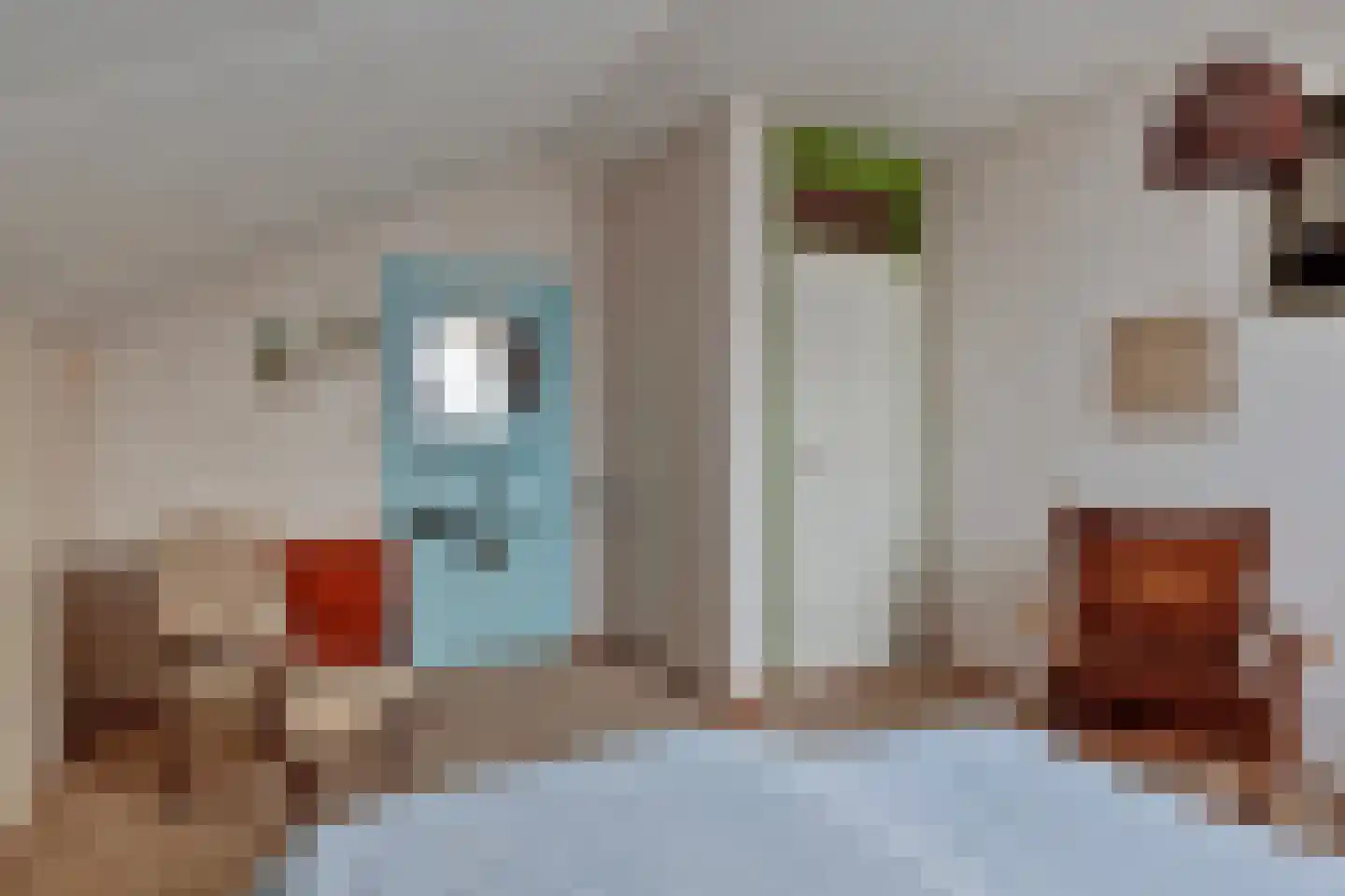 Oranje Nassaulaan 20 Vrouwenpolder thumbnail 28