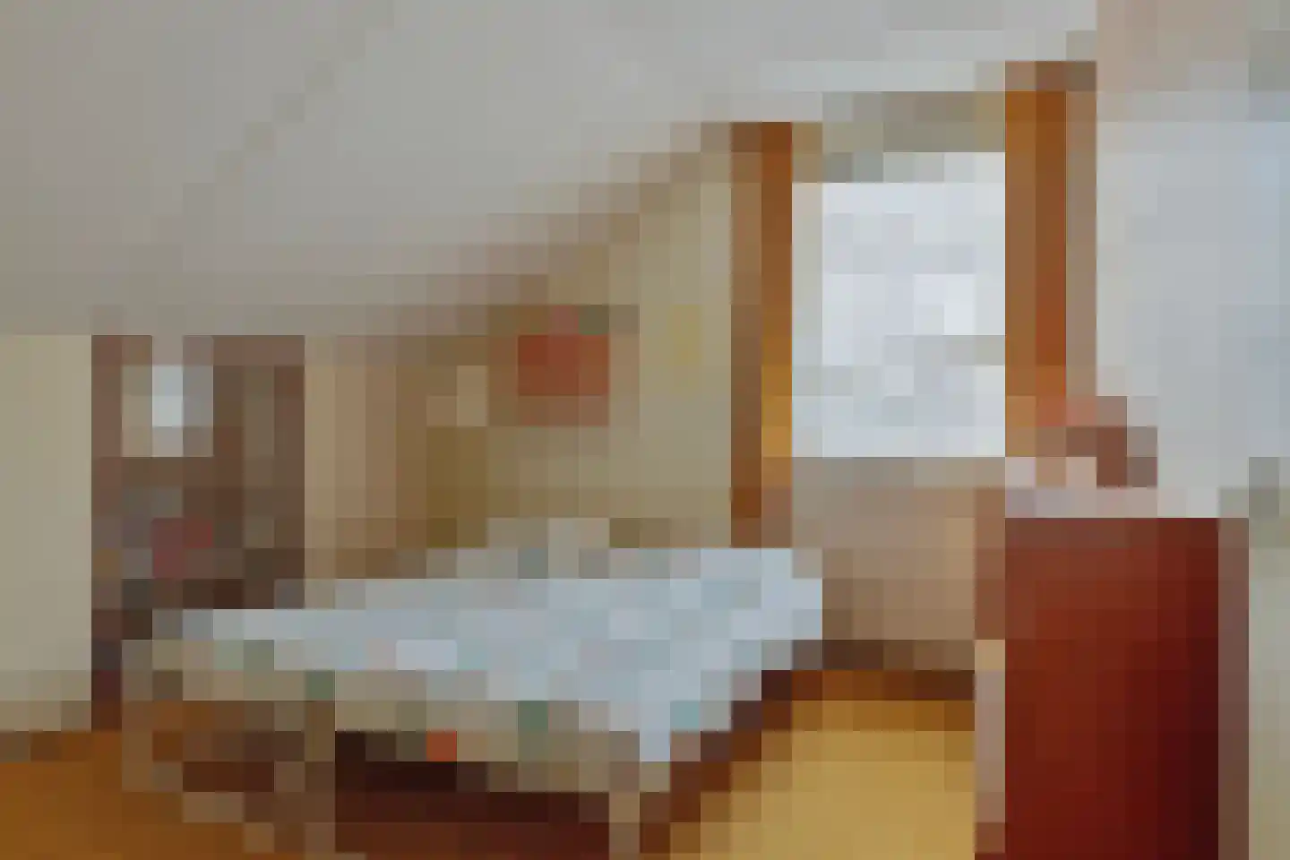 Oranje Nassaulaan 20 Vrouwenpolder thumbnail 29