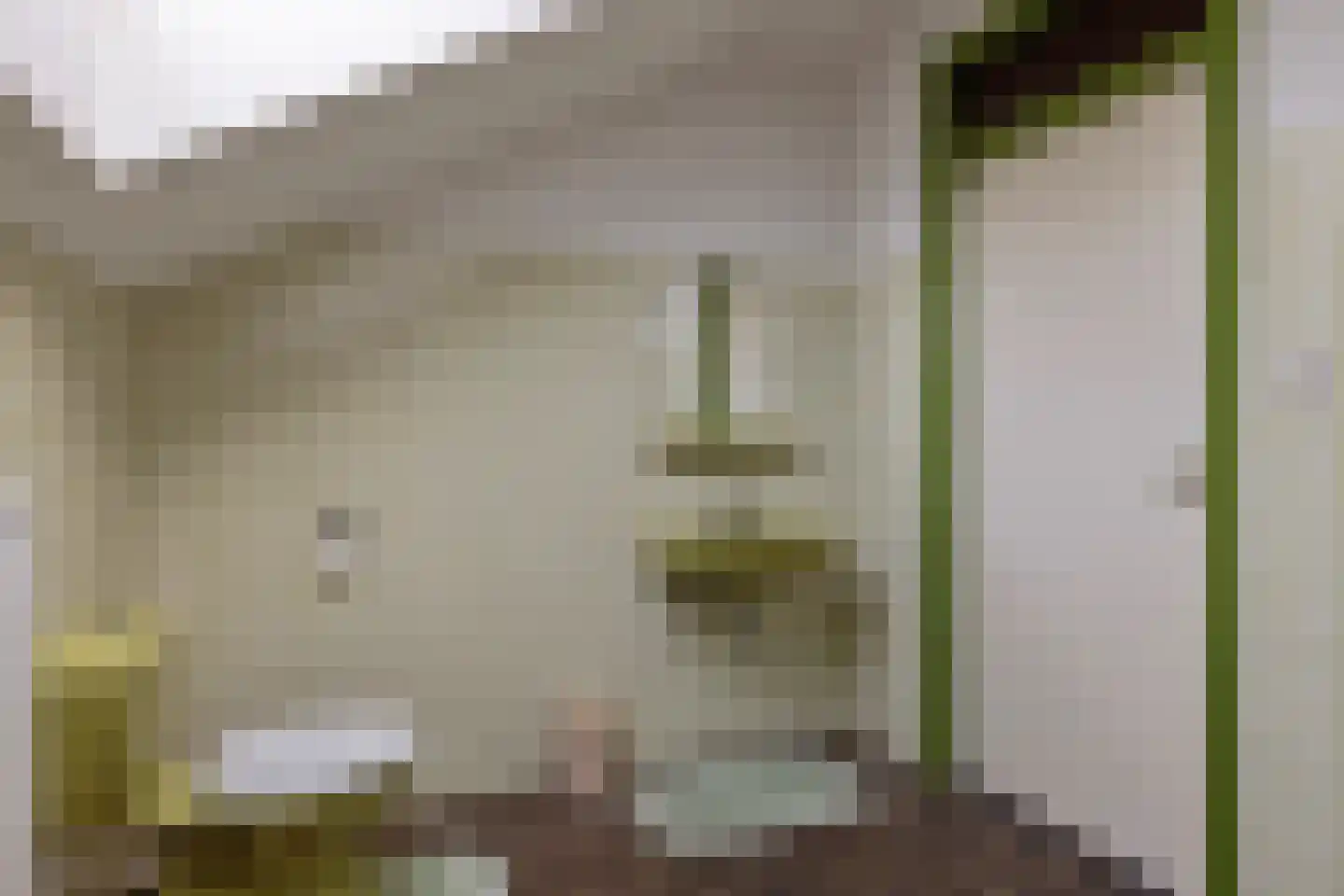 Oranje Nassaulaan 20 Vrouwenpolder thumbnail 32