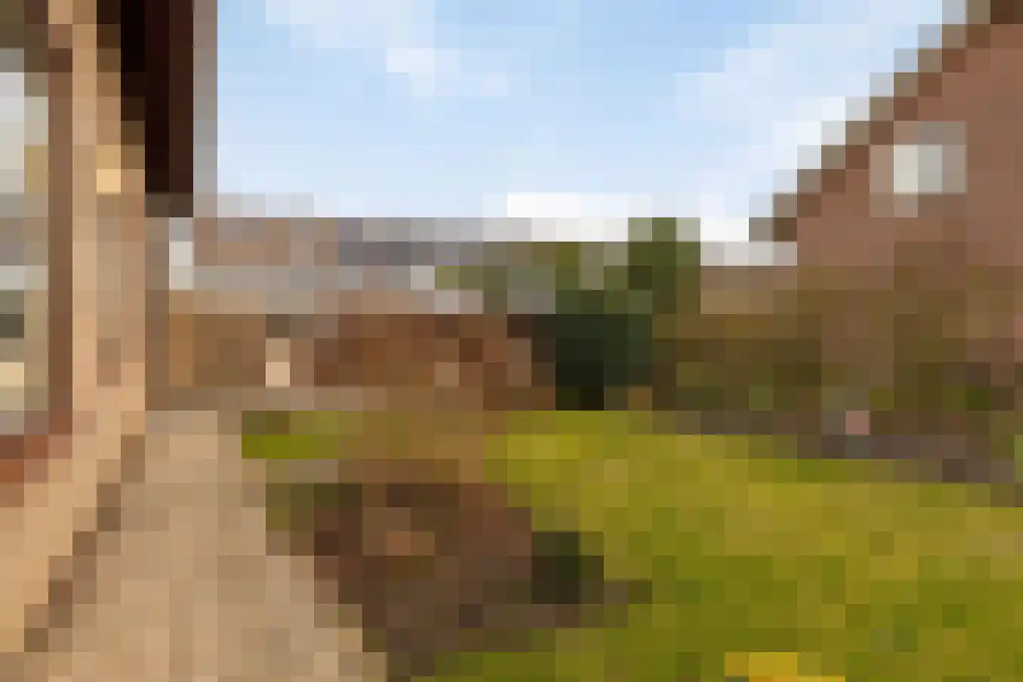Oranje Nassaulaan 20 Vrouwenpolder thumbnail 36