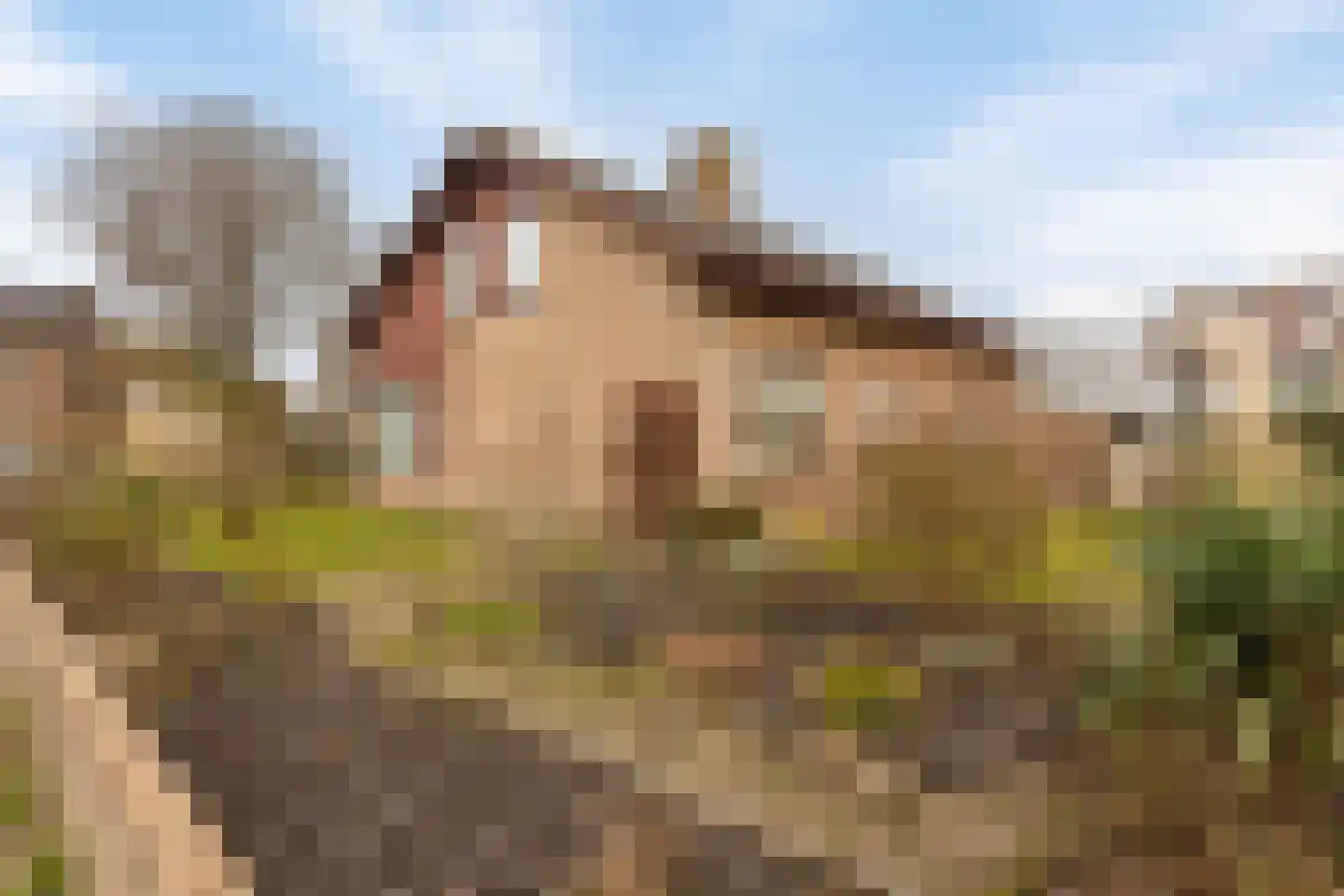 Oranje Nassaulaan 20 Vrouwenpolder thumbnail 41