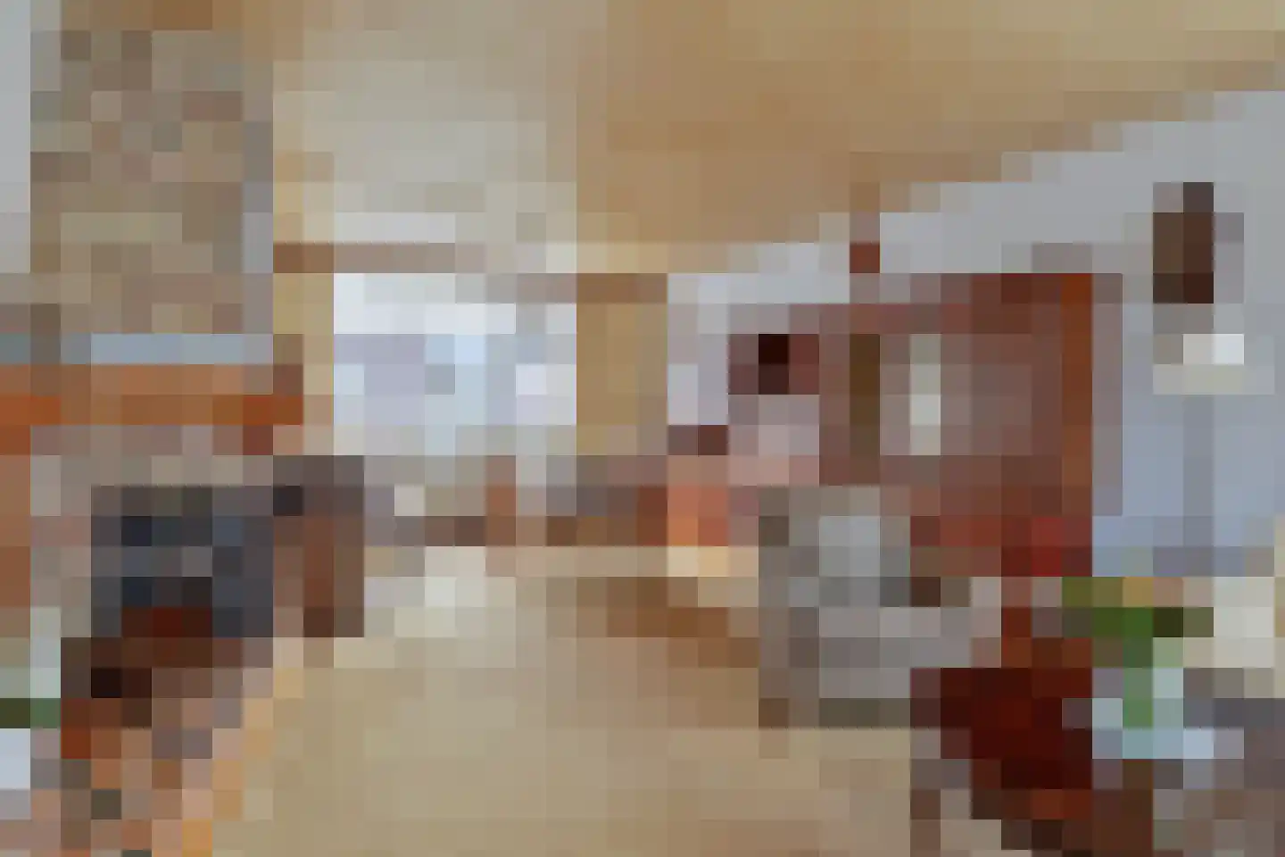 Oranje Nassaulaan 20 Vrouwenpolder thumbnail 7
