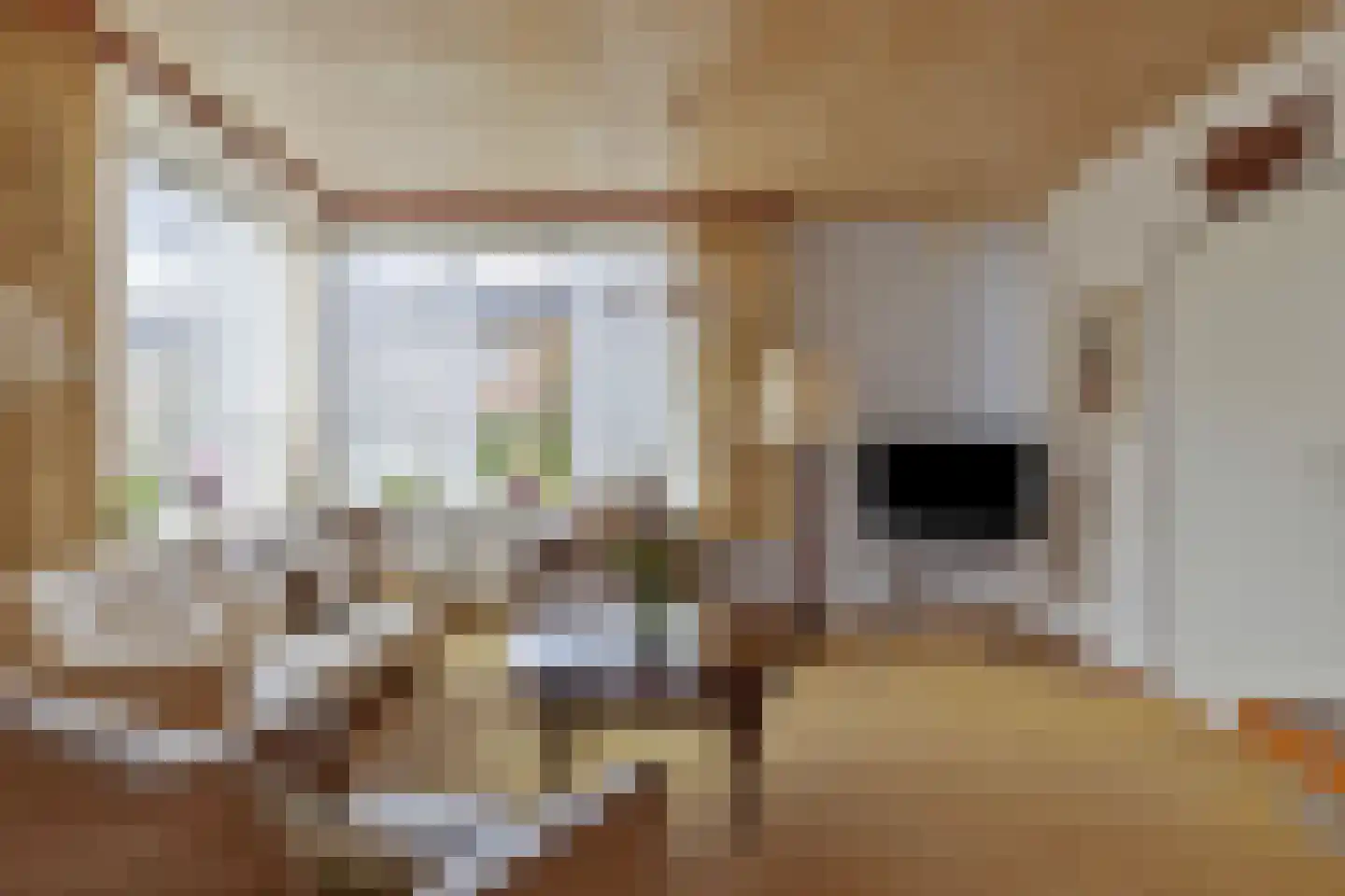 Oranje Nassaulaan 20 Vrouwenpolder thumbnail 9