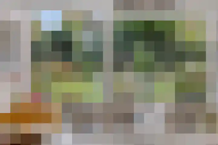 Oranje-Nassaulaan 207 Sint-Oedenrode thumbnail 12