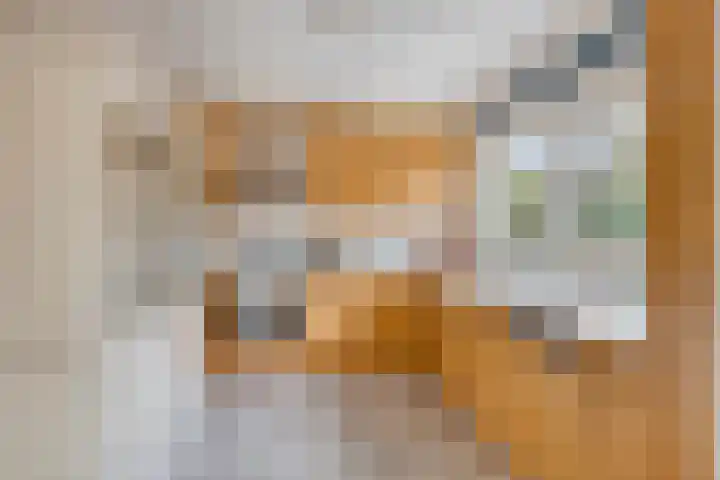 Oranje-Nassaulaan 207 Sint-Oedenrode thumbnail 16