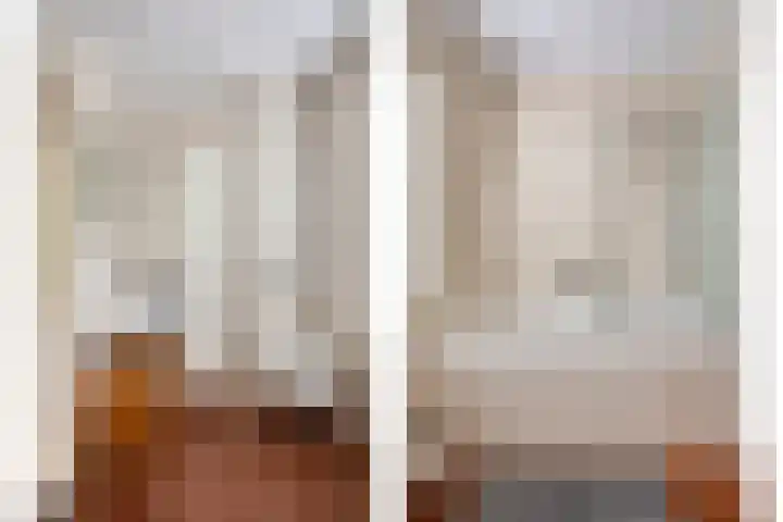 Oranje-Nassaulaan 207 Sint-Oedenrode thumbnail 30