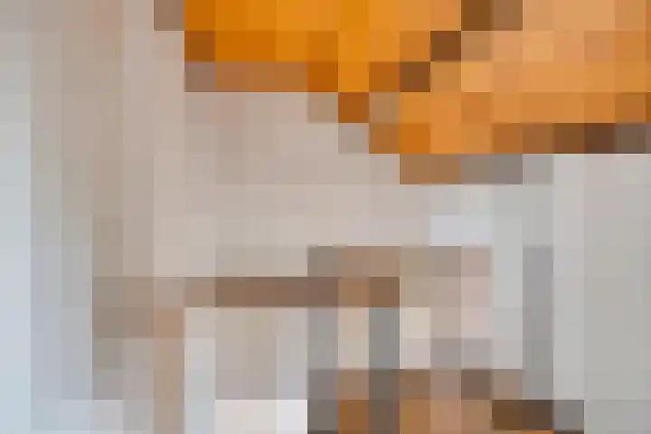 Oranje-Nassaulaan 207 Sint-Oedenrode thumbnail 31
