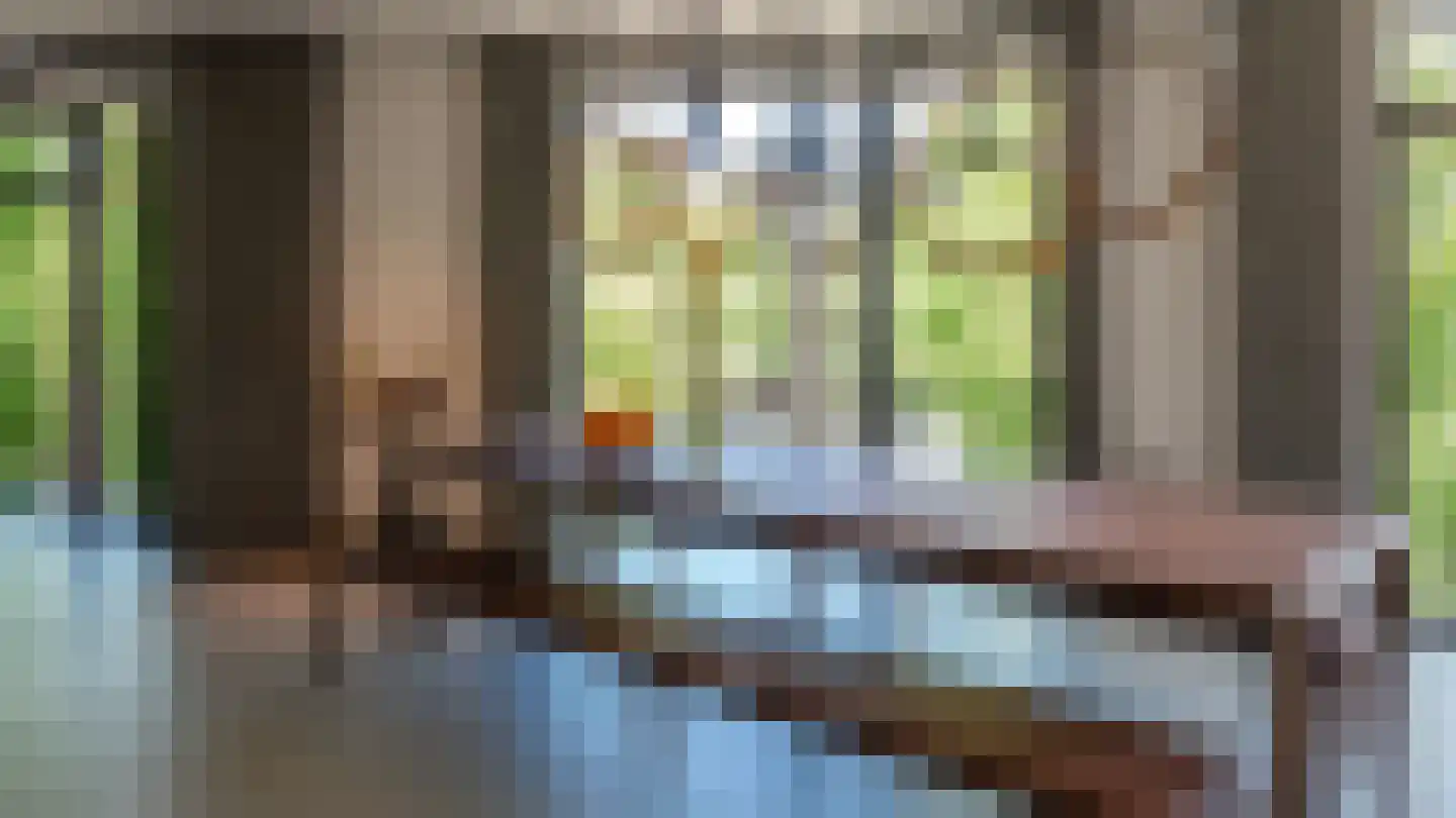 Oranje Nassaulaan 21 D Amsterdam thumbnail 12