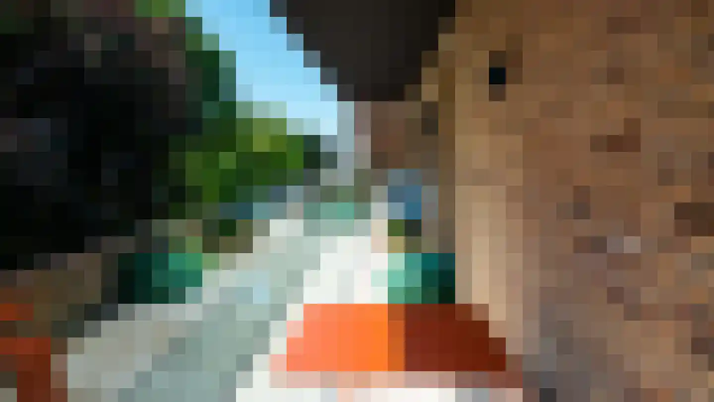 Oranje Nassaulaan 21 D Amsterdam thumbnail 20