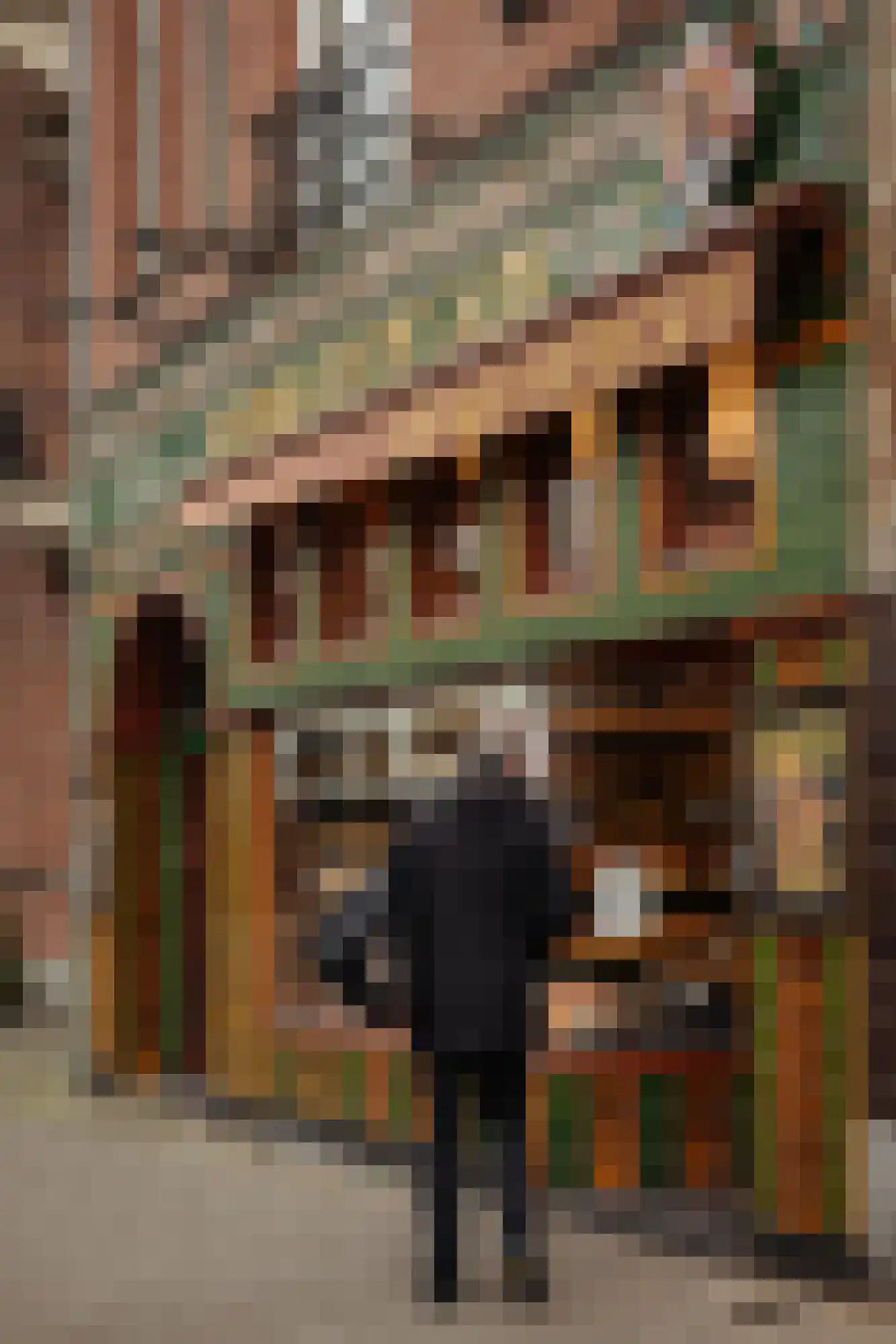 Oranje Nassaulaan 21 D Amsterdam thumbnail 47