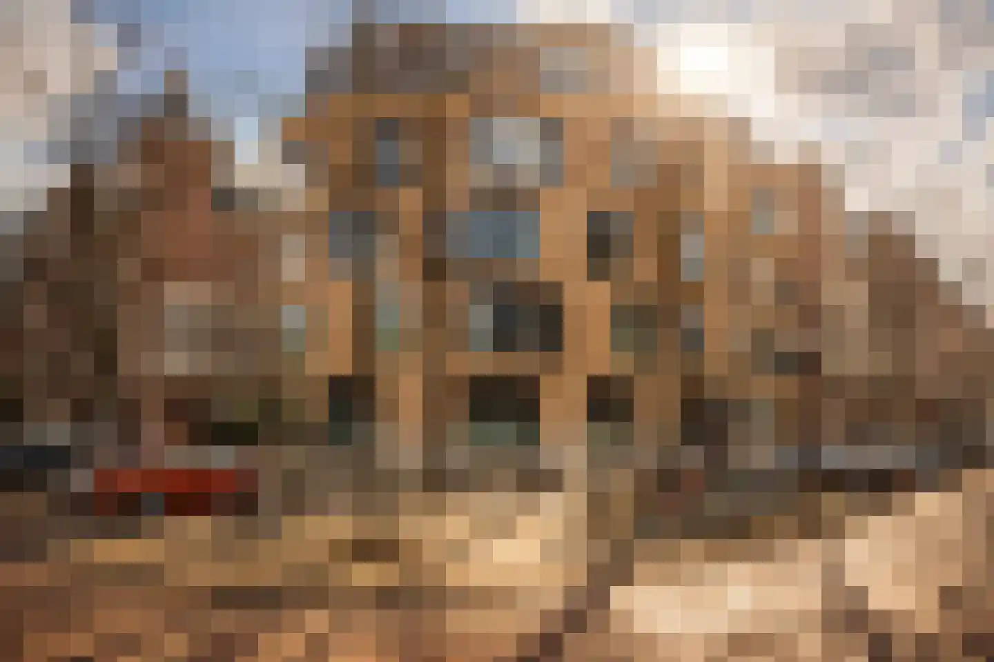 Oranje Nassaulaan 21 D Amsterdam thumbnail 5