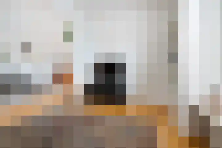 Oranje-Nassaulaan 229 Sint-Oedenrode thumbnail 8