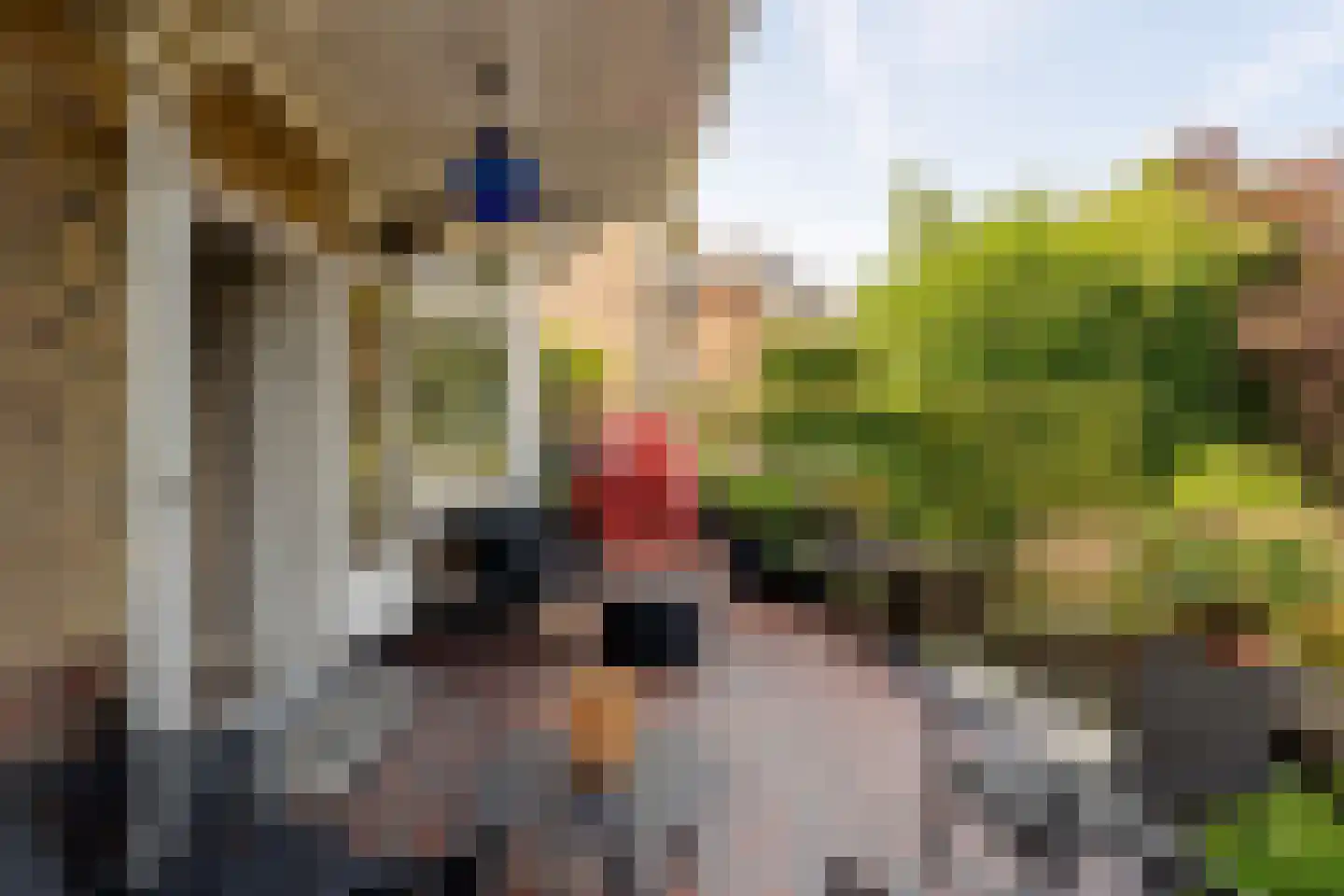 Oranje Nassaulaan 24 Amsterdam thumbnail 11