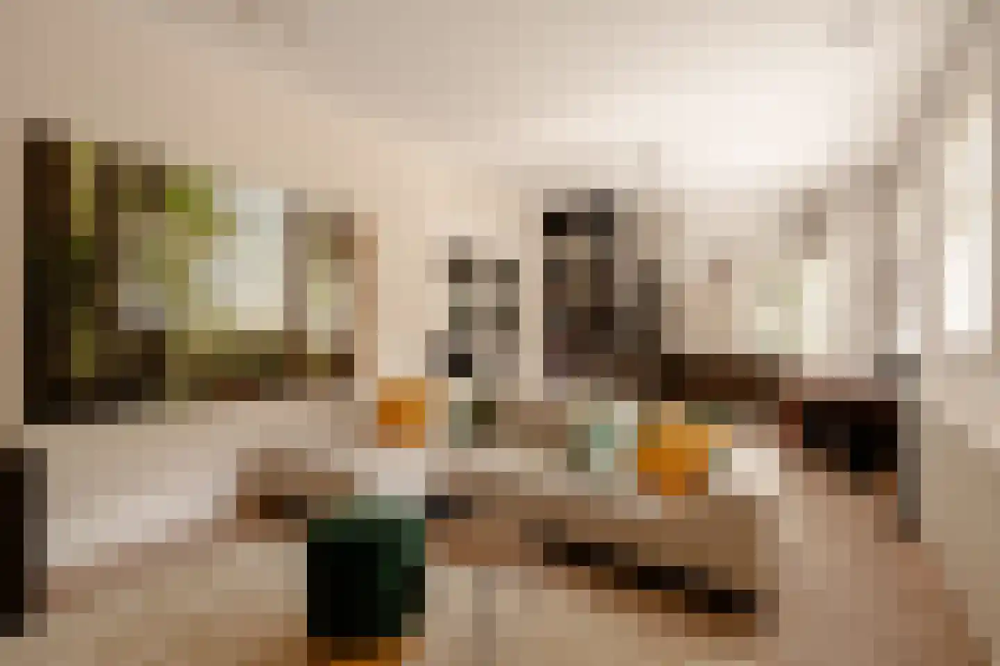 Oranje Nassaulaan 24 Amsterdam thumbnail 13