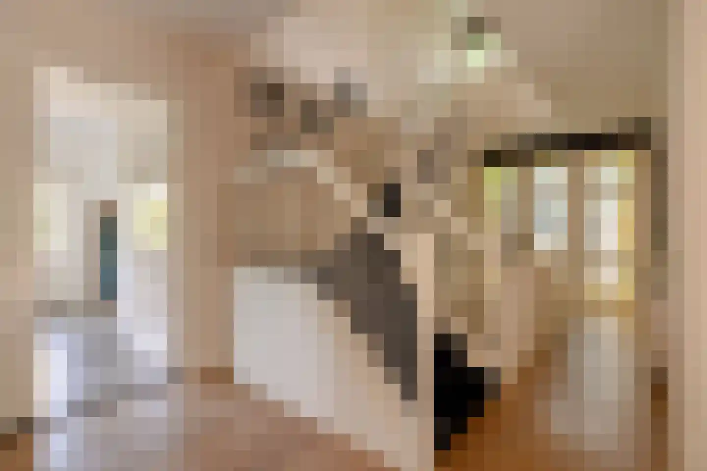 Oranje Nassaulaan 24 Amsterdam thumbnail 15