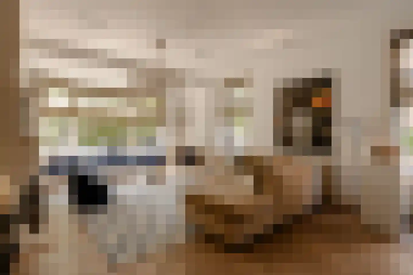 Oranje Nassaulaan 24 Amsterdam thumbnail 4