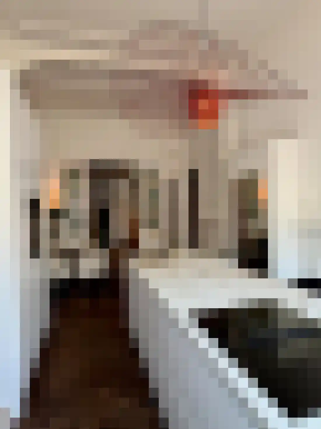 Oranje Nassaulaan 25 's-Hertogenbosch thumbnail 13