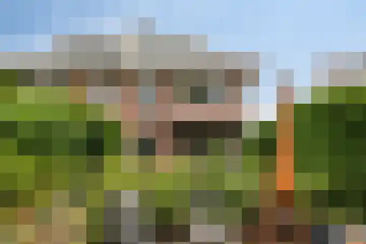Oranje Nassaulaan 25 Warmond thumbnail 22