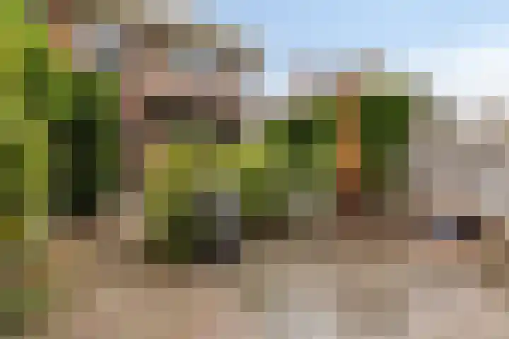 Oranje Nassaulaan 25 Warmond thumbnail 23