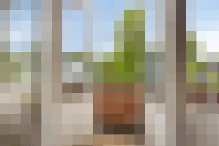 Oranje Nassaulaan 25 Warmond thumbnail 32