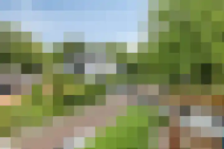 Oranje Nassaulaan 25 Warmond thumbnail 33